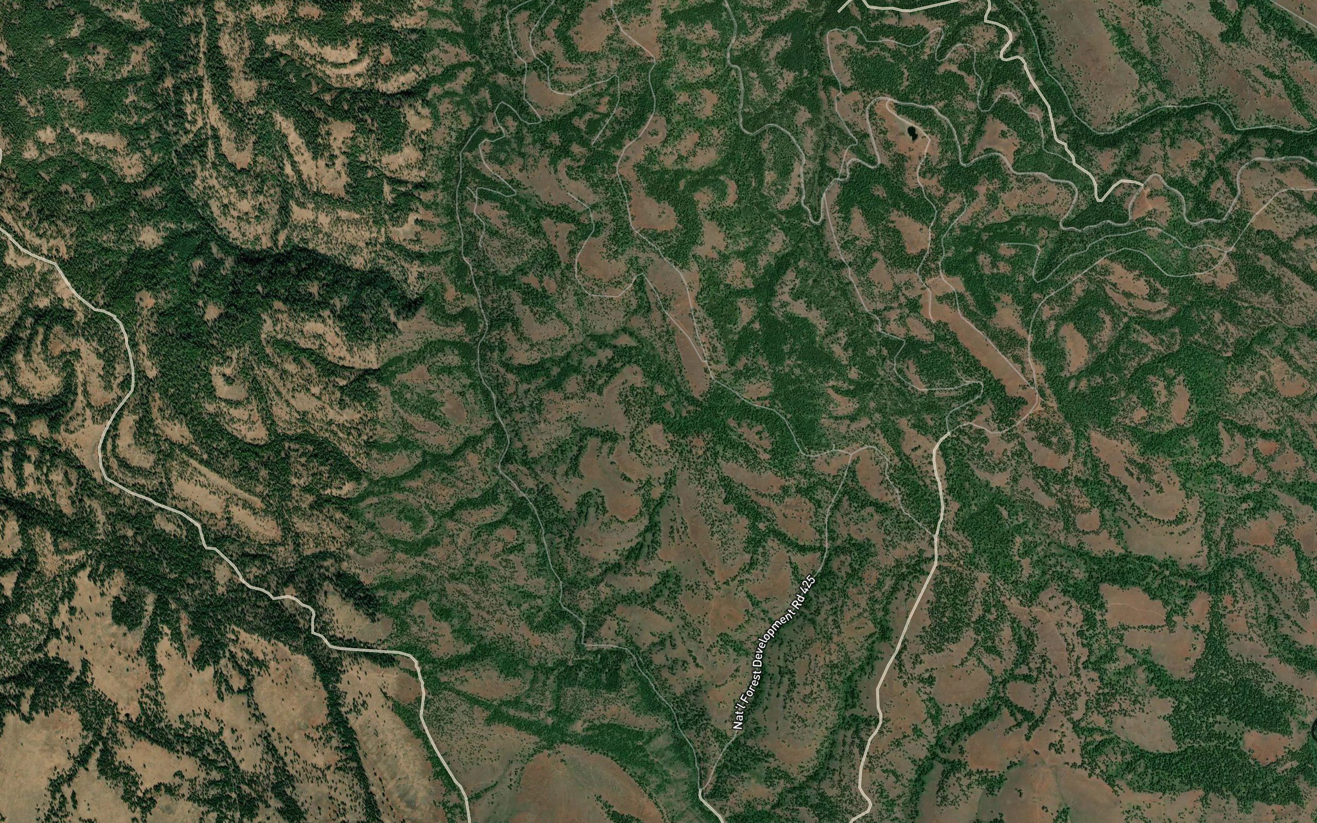 Porter Spring