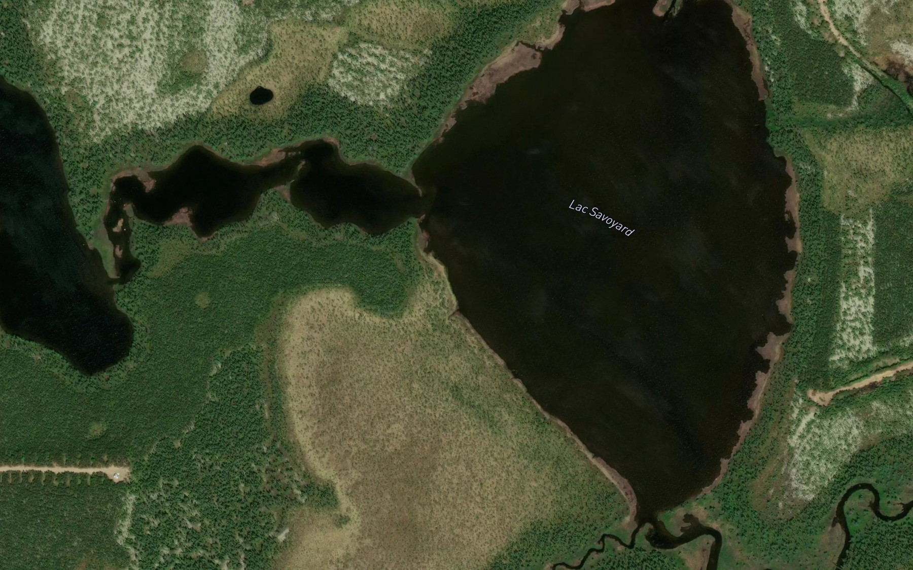 Satellite map of the Lac Savoyard