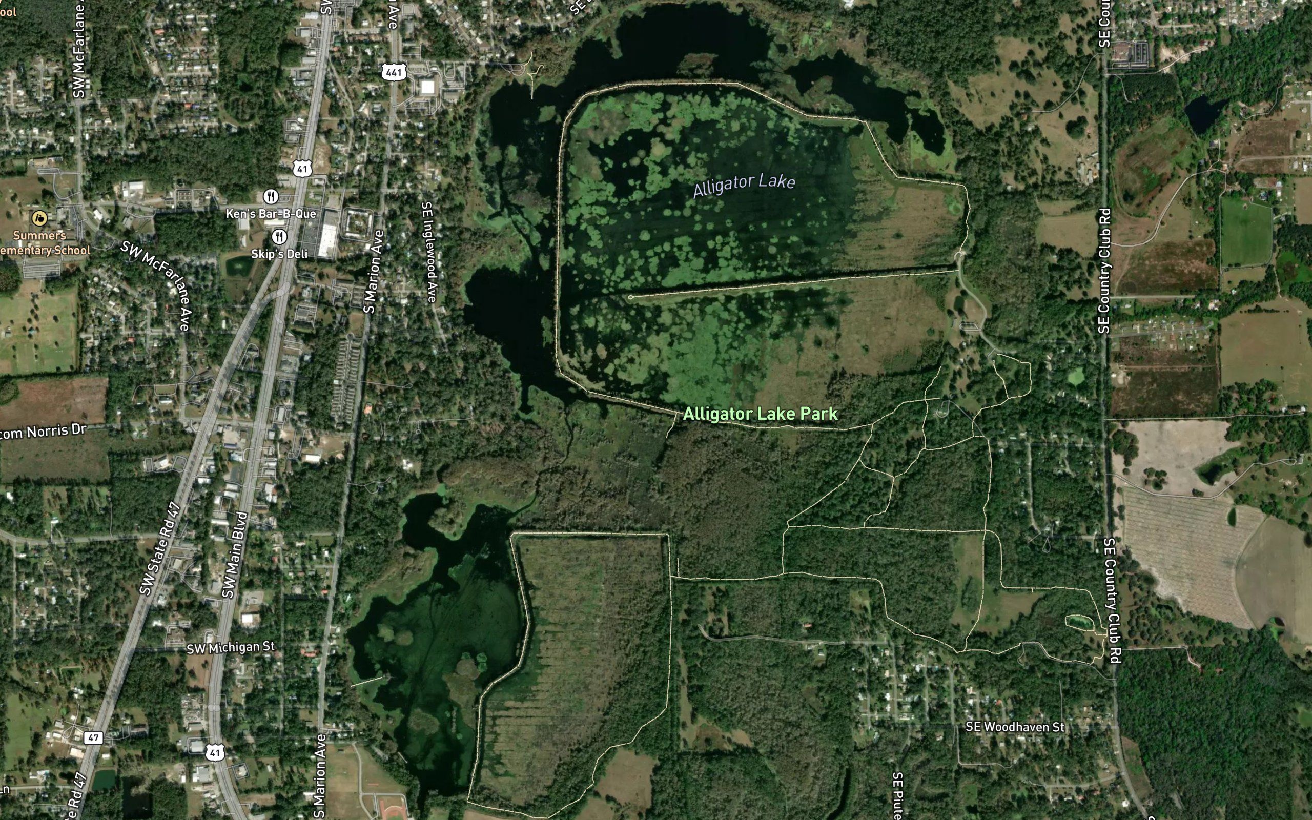 Alligator Lake