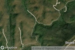 Pearis Thompson Branch