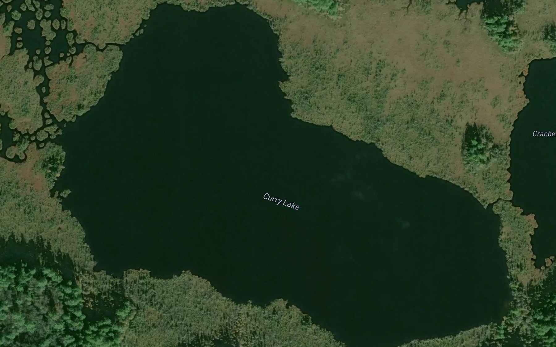 Satellite map of the Curry Lake