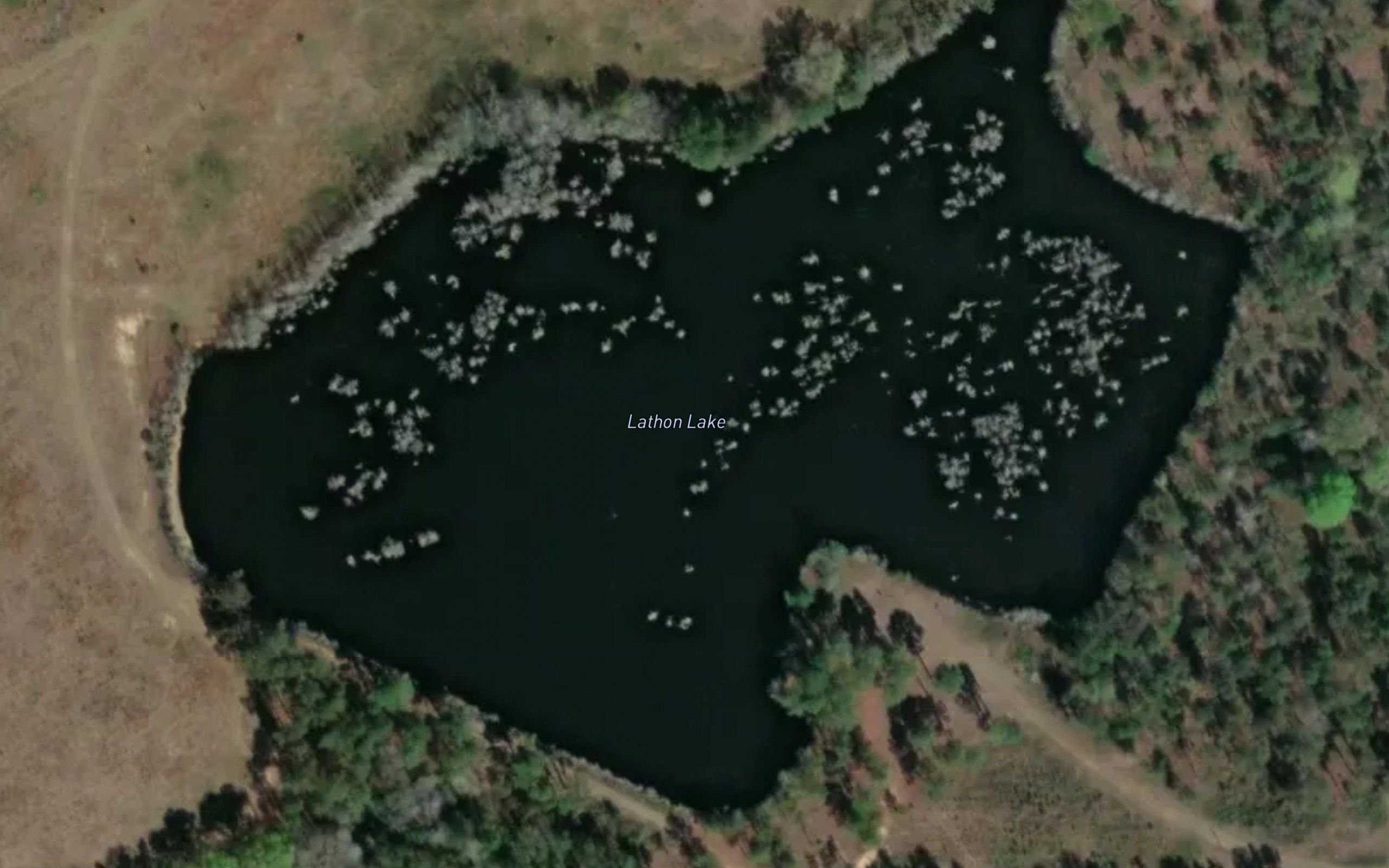 Lathon Lake