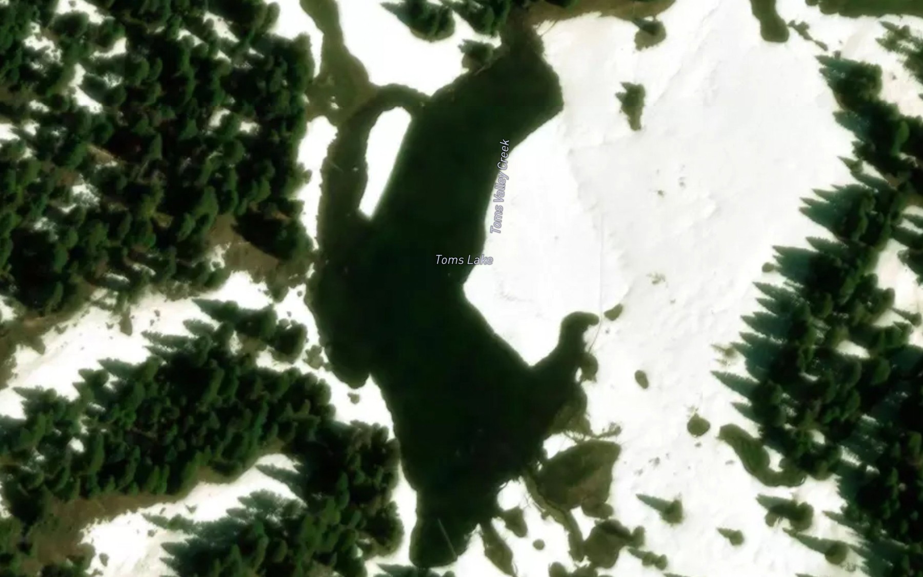 Satellite map of the Toms Lake