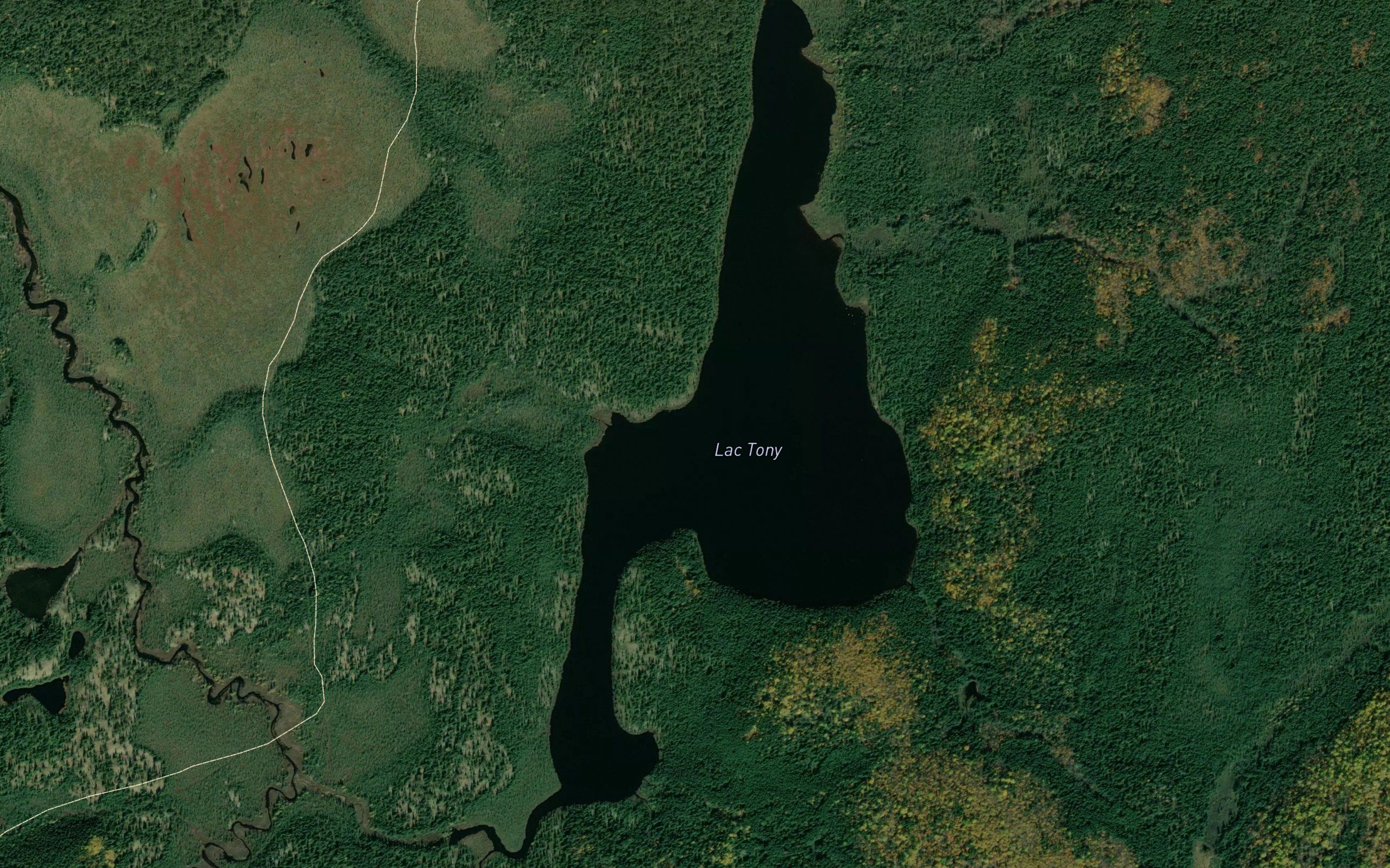 Lac Tony