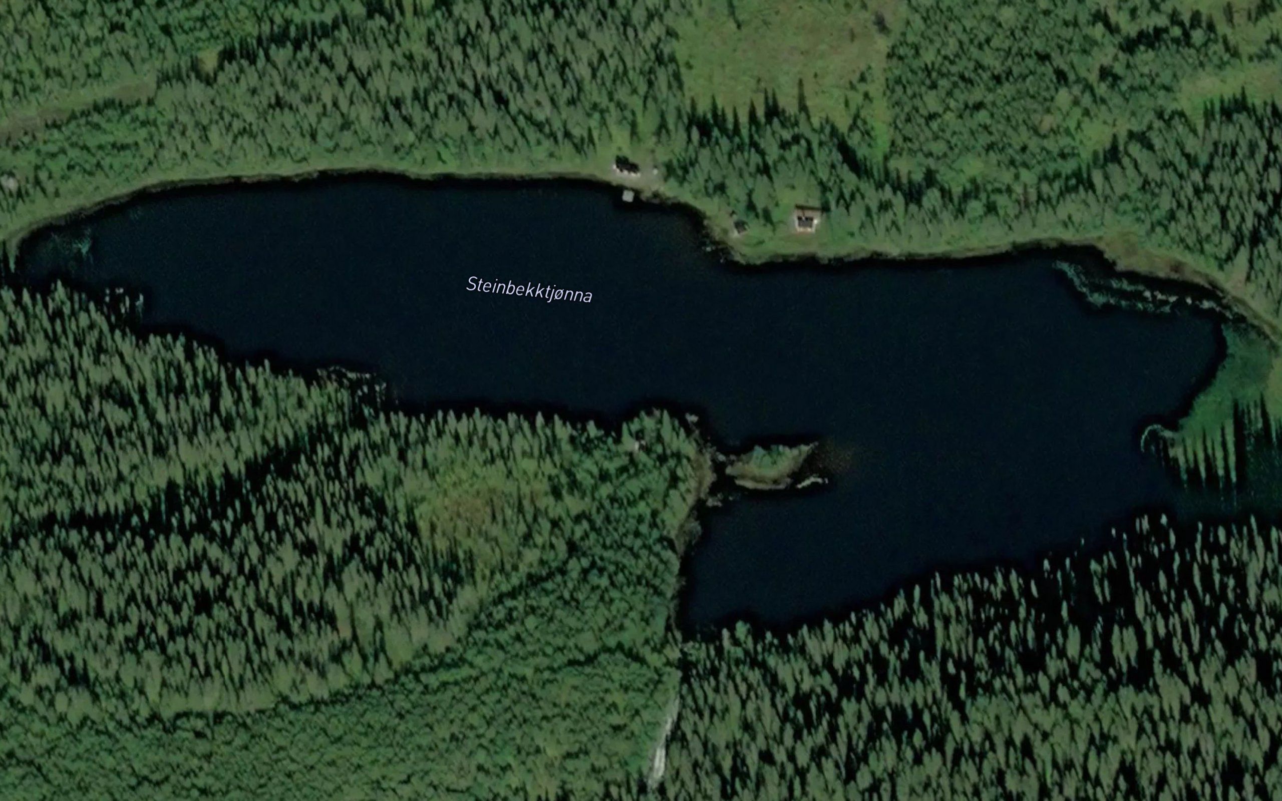 Steinbekktjorna