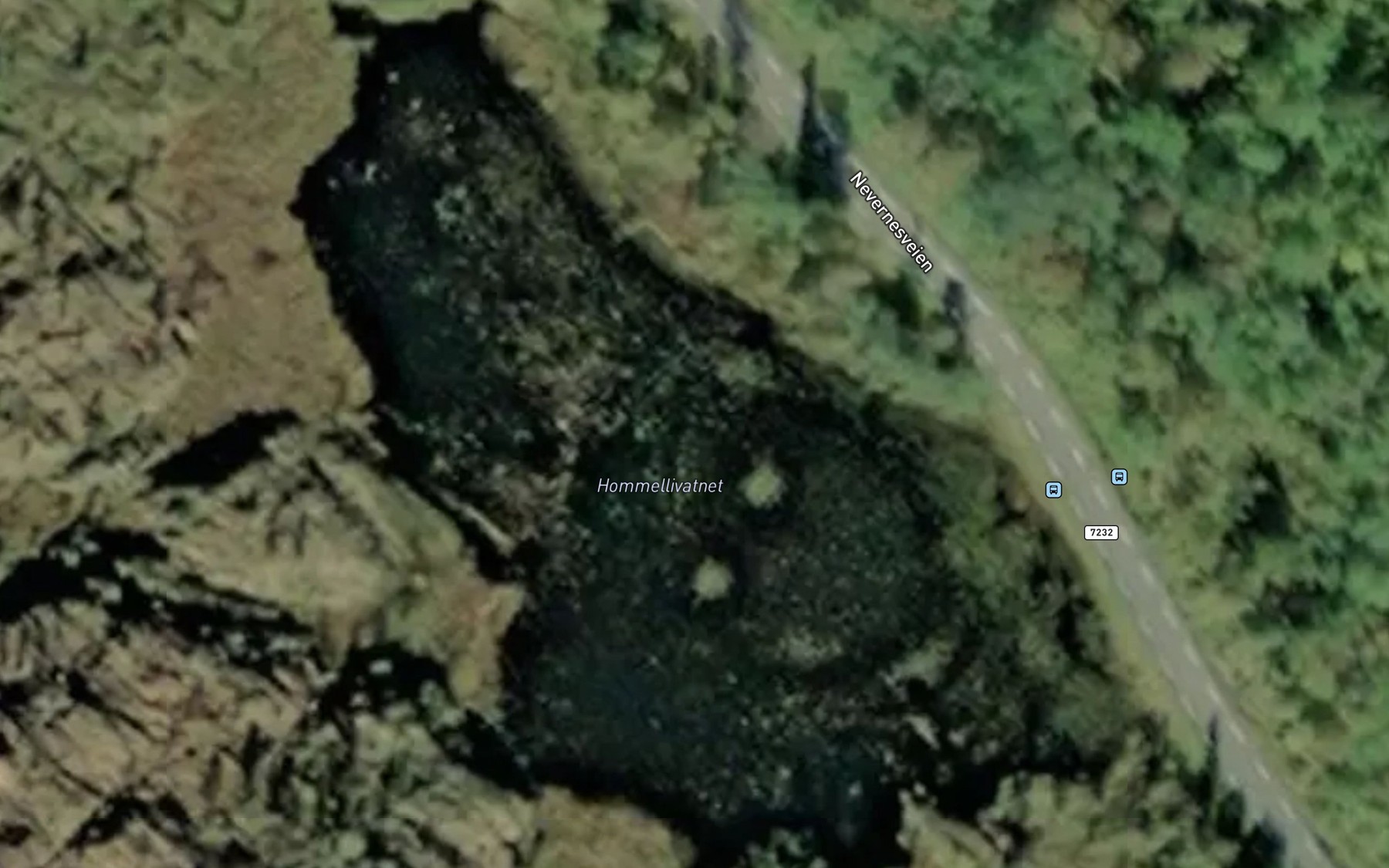 Satellite map of the Hommellivatnet