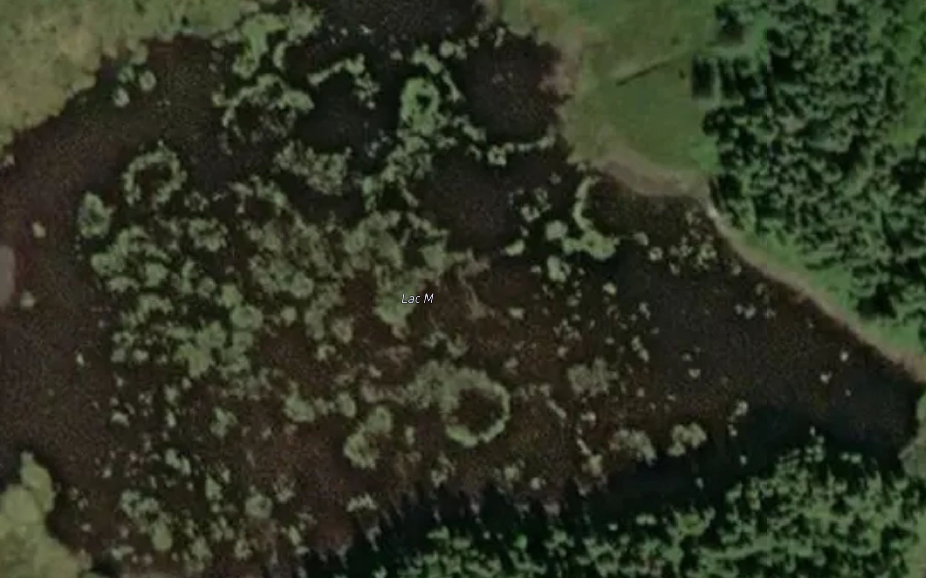 Satellite map of the Lac M