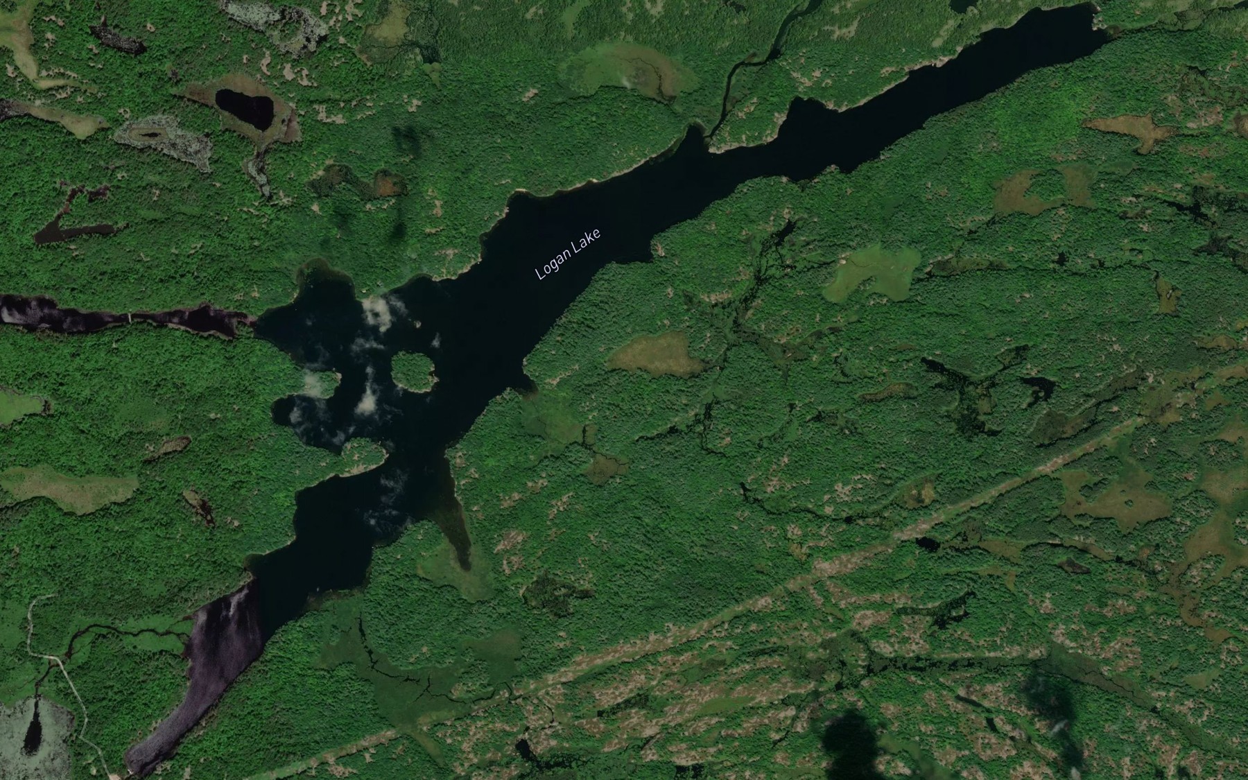 Satellite map of the Logan Lake