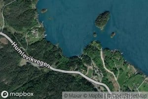 Timbervika