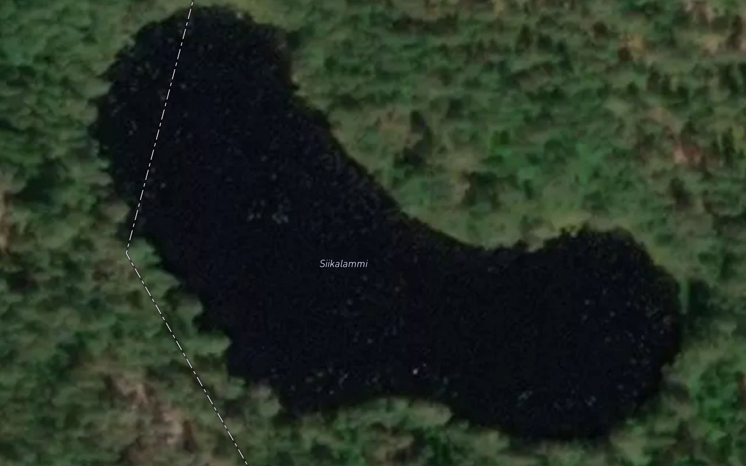 Siikalammi