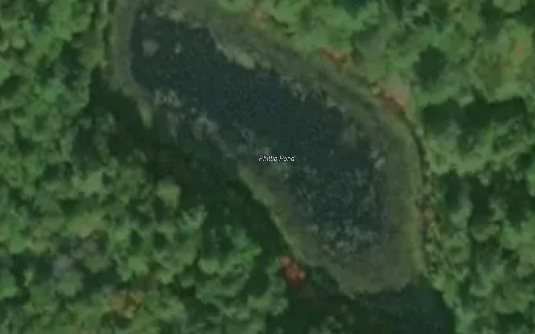 Satellite map of the Phillip Pond