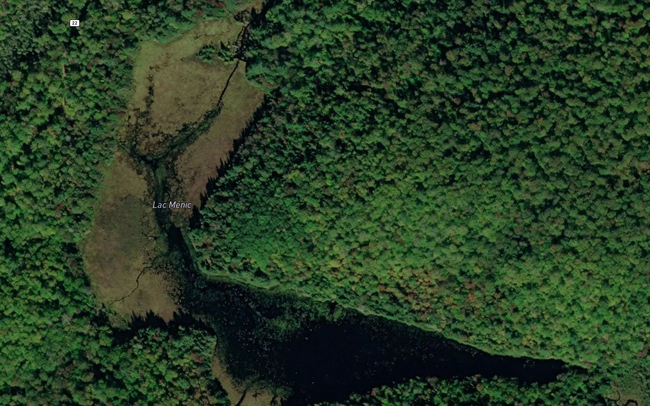 Lac Menic