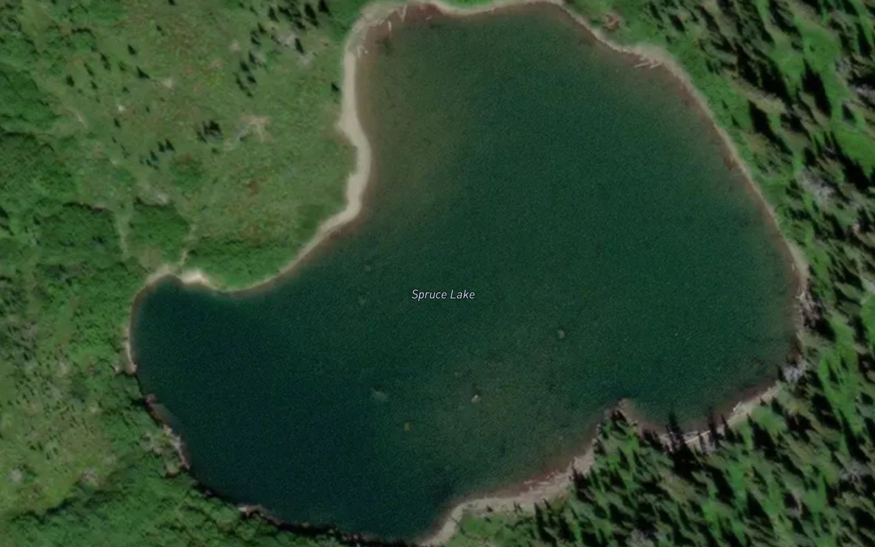 Satellite map of the Spruce Lake