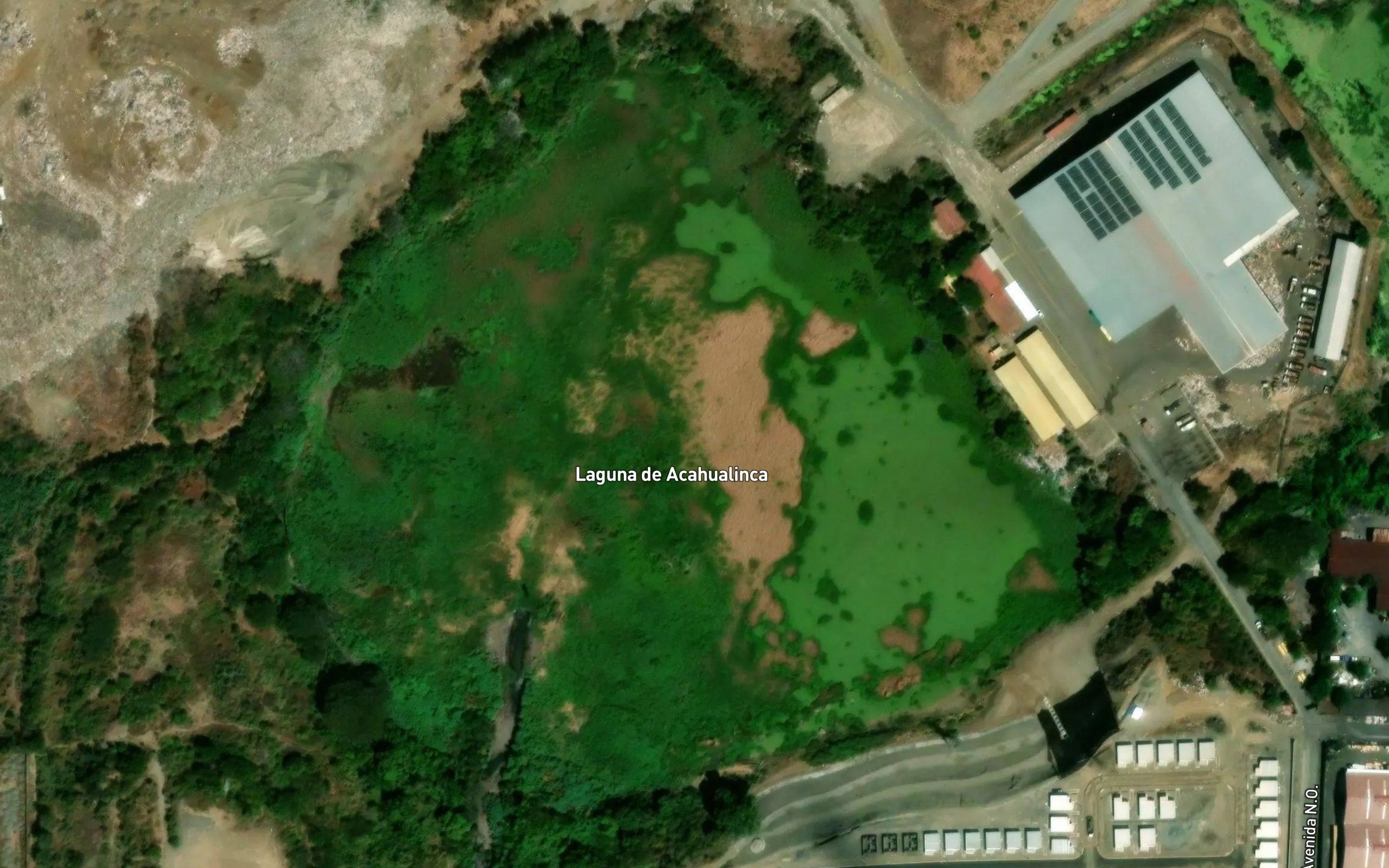 Laguna Acahualinca