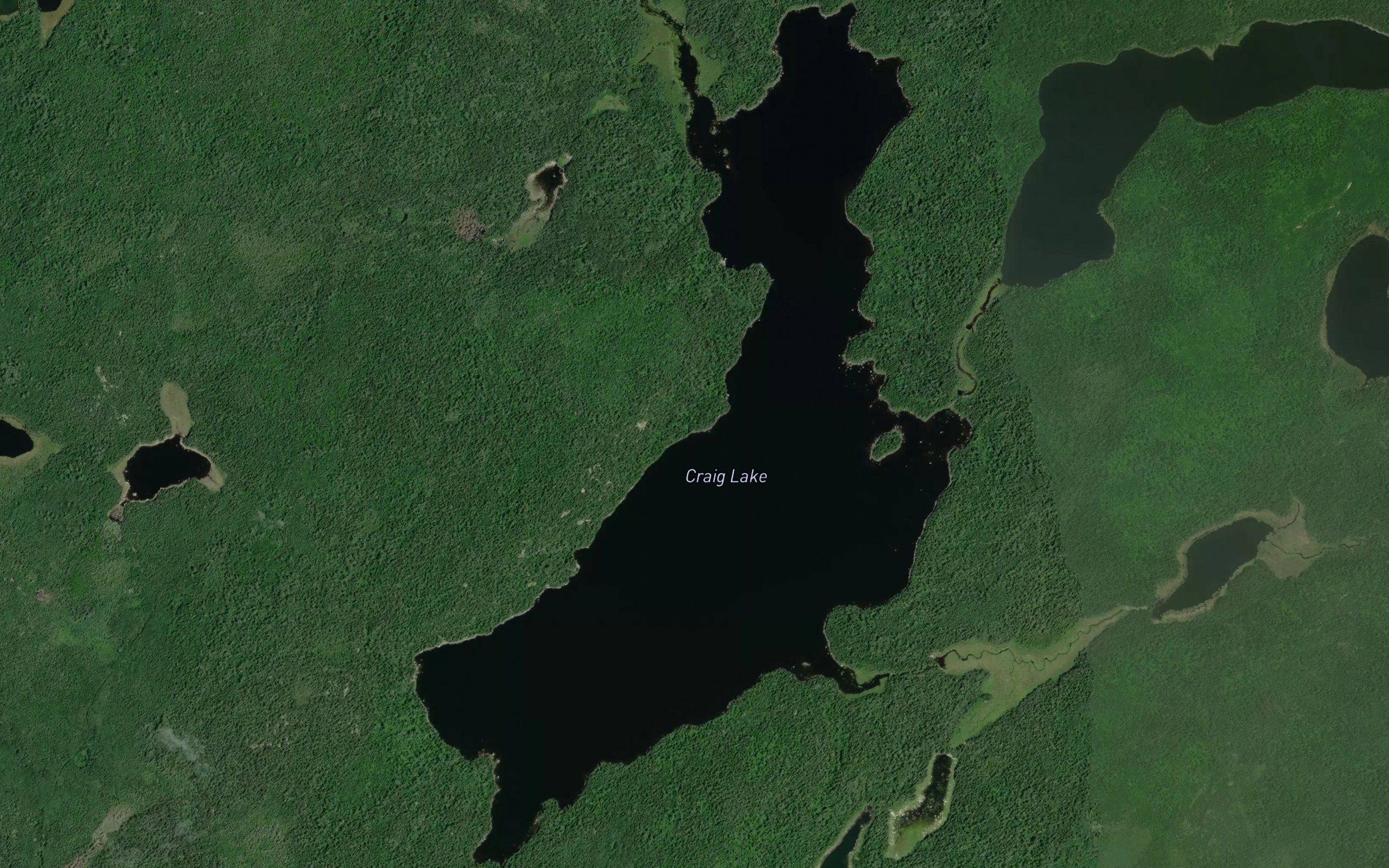 Craig Lake