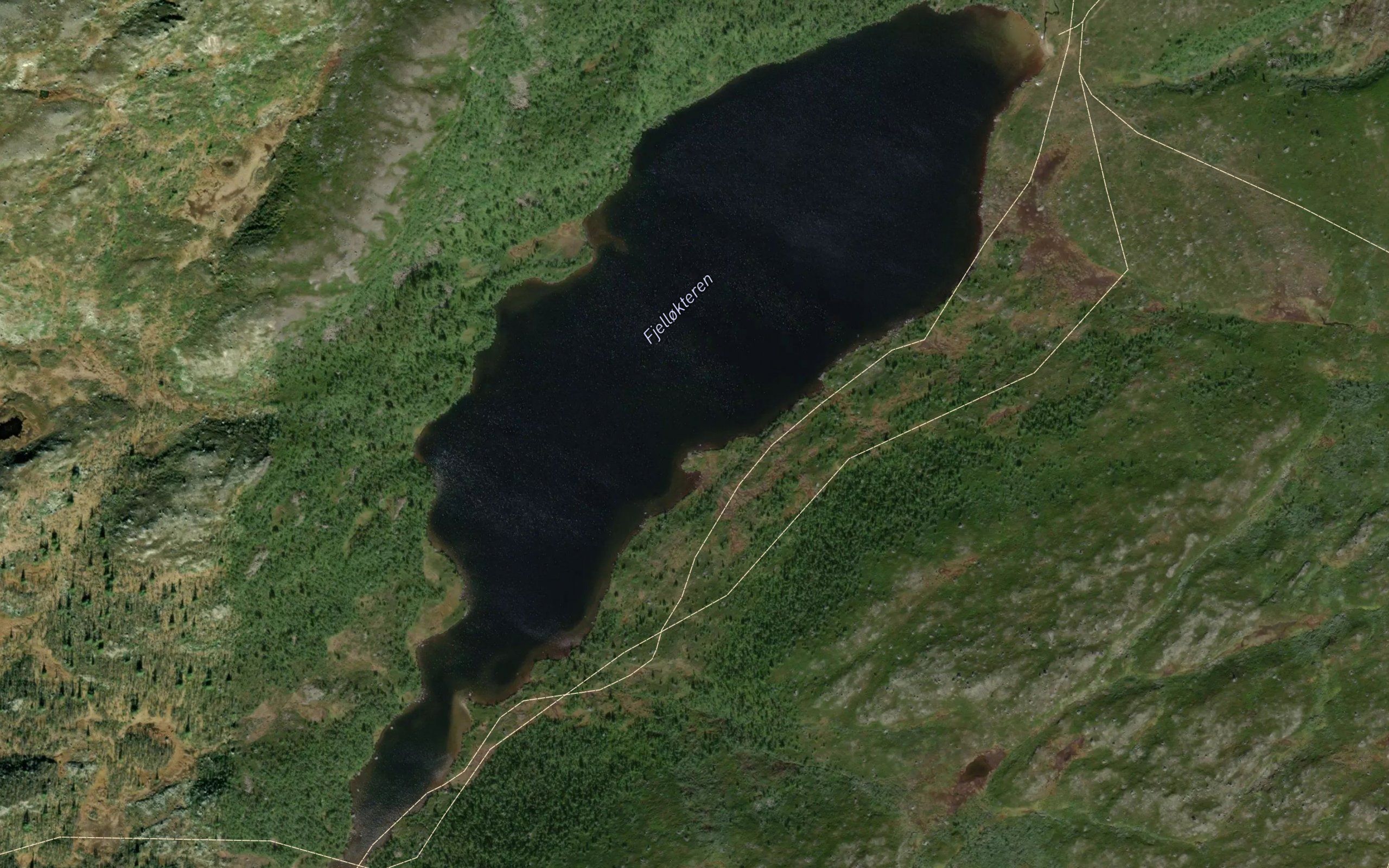 Fjellokteren