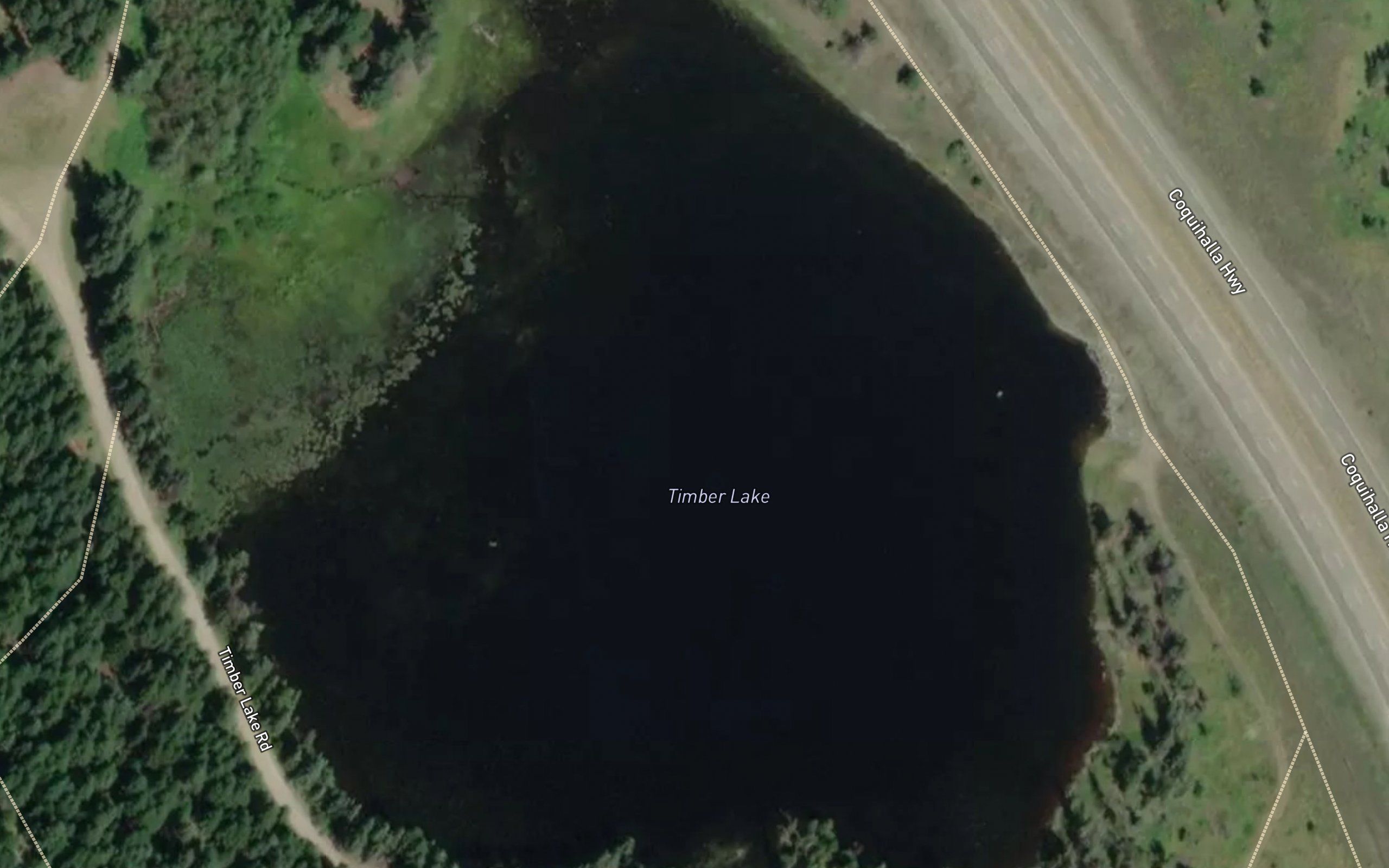 Timber Lake