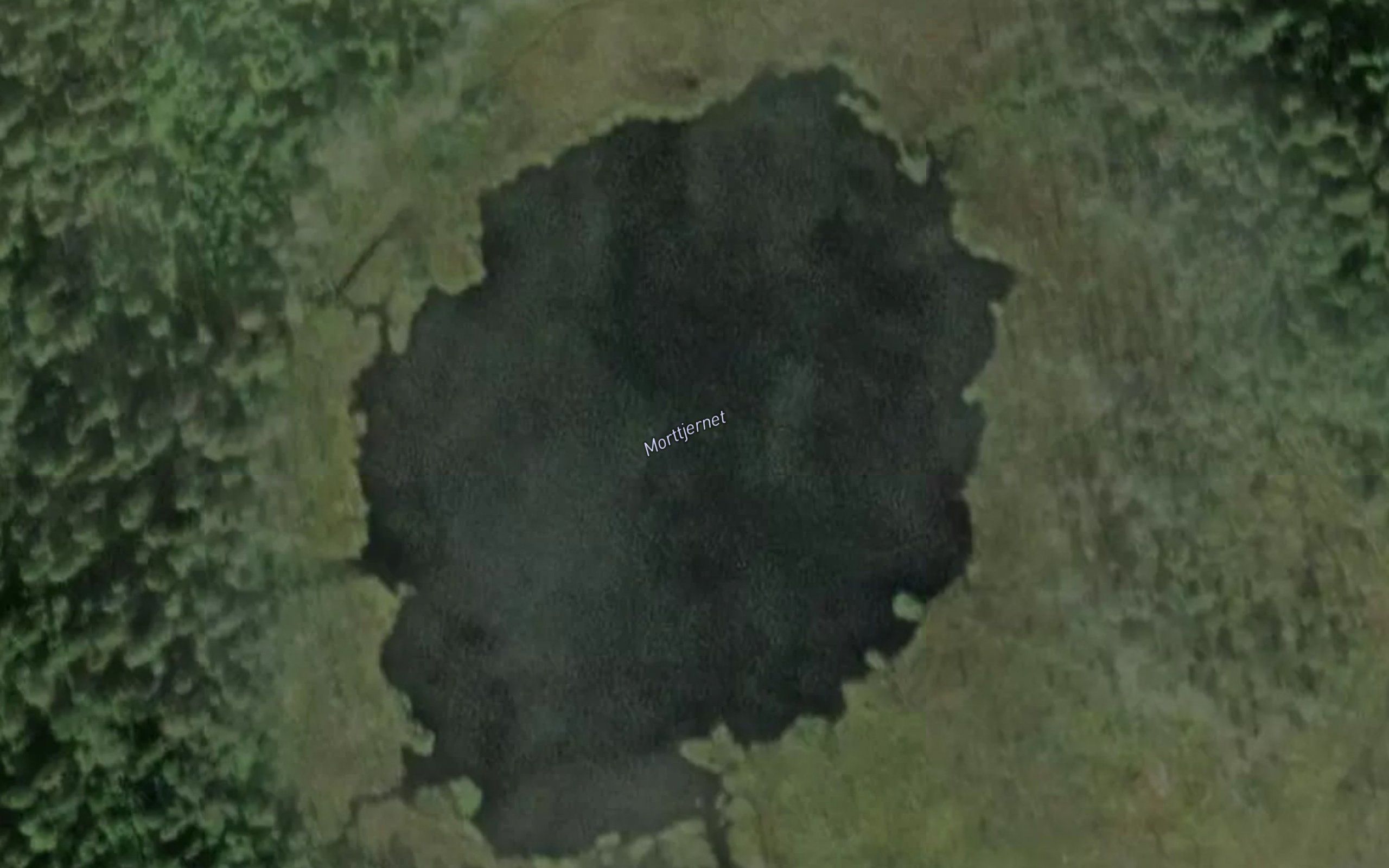 Morttjernet