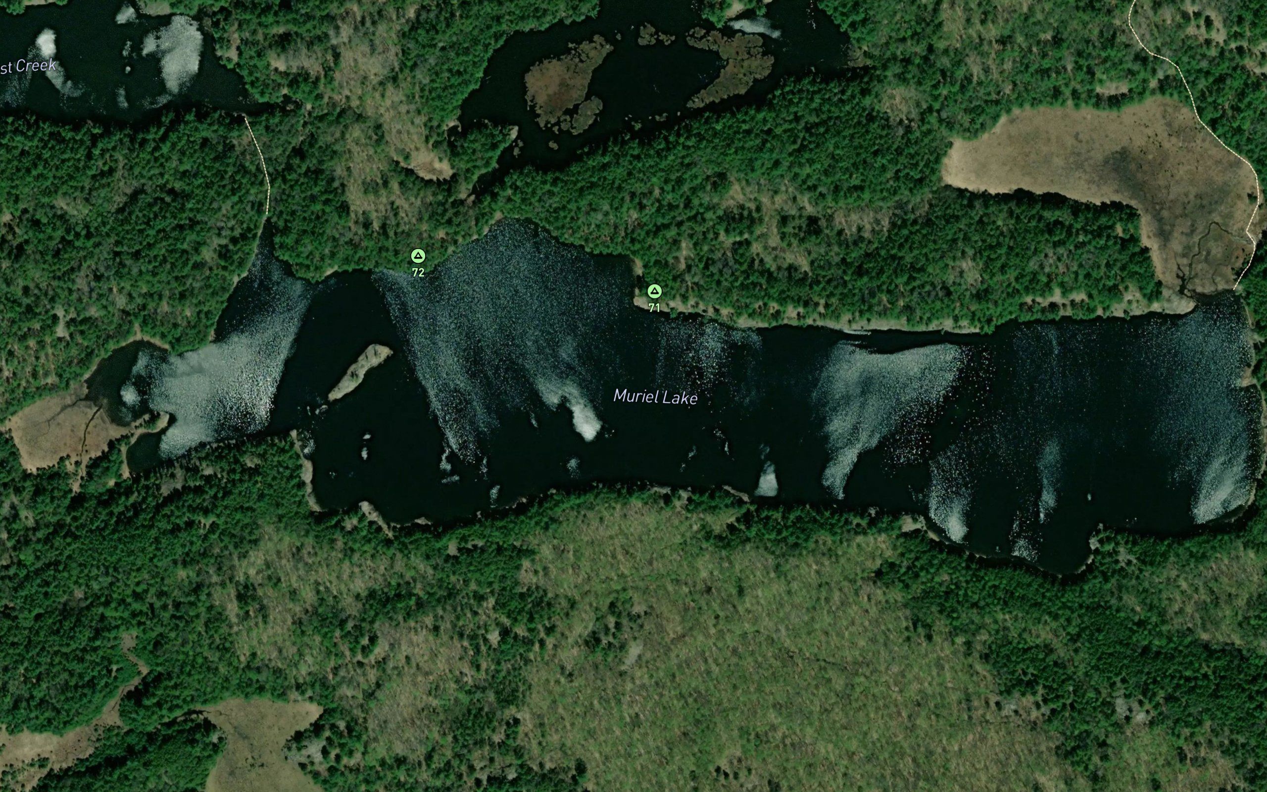Muriel Lake