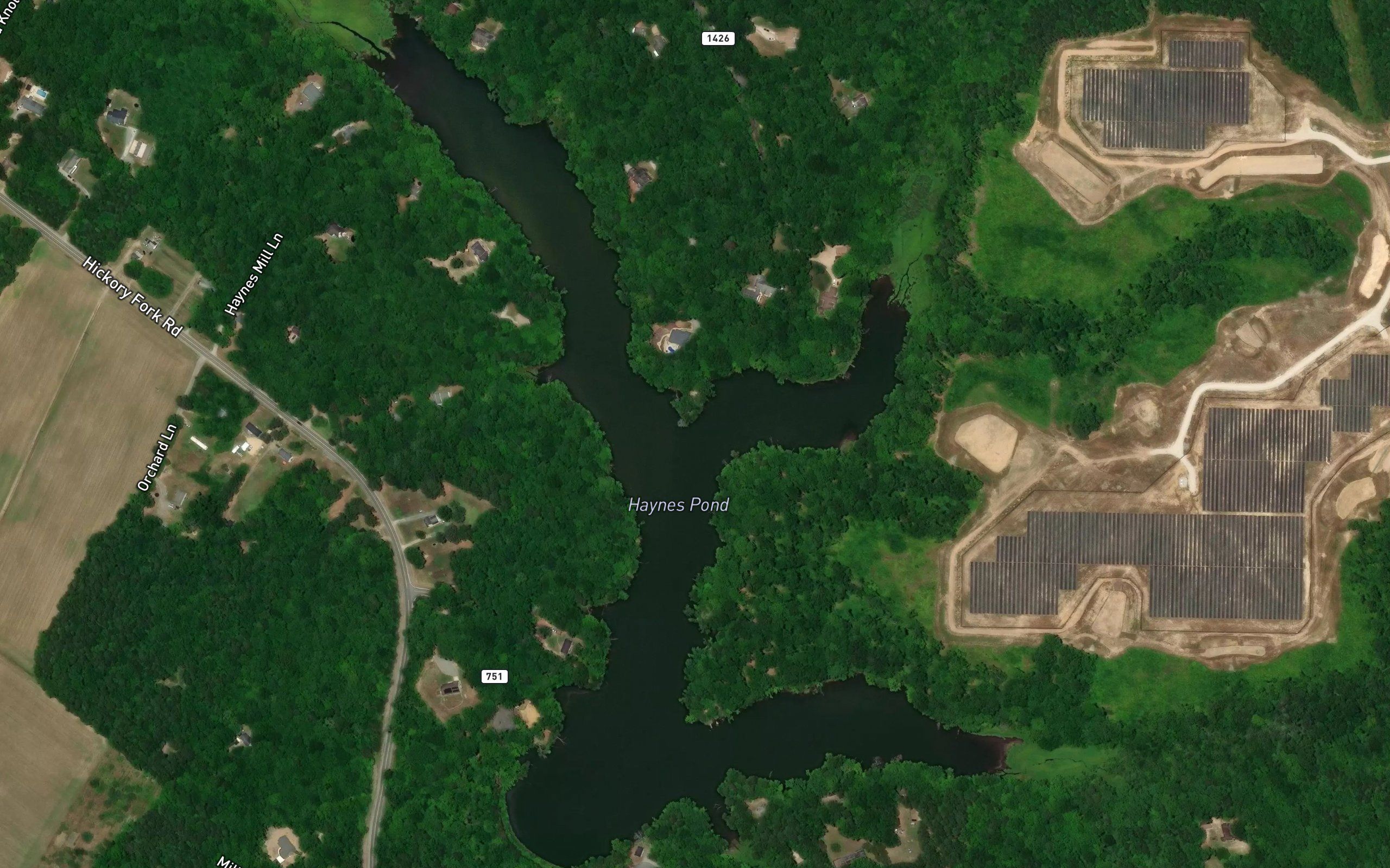 Haynes Pond