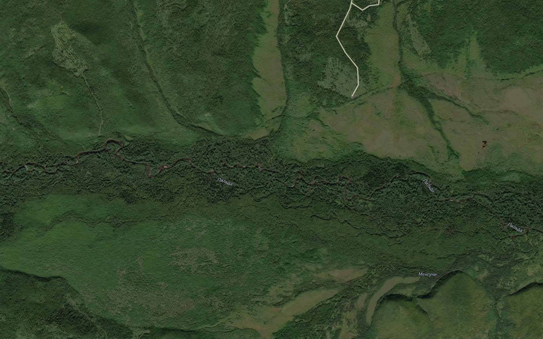 Satellite map of the Pestryy