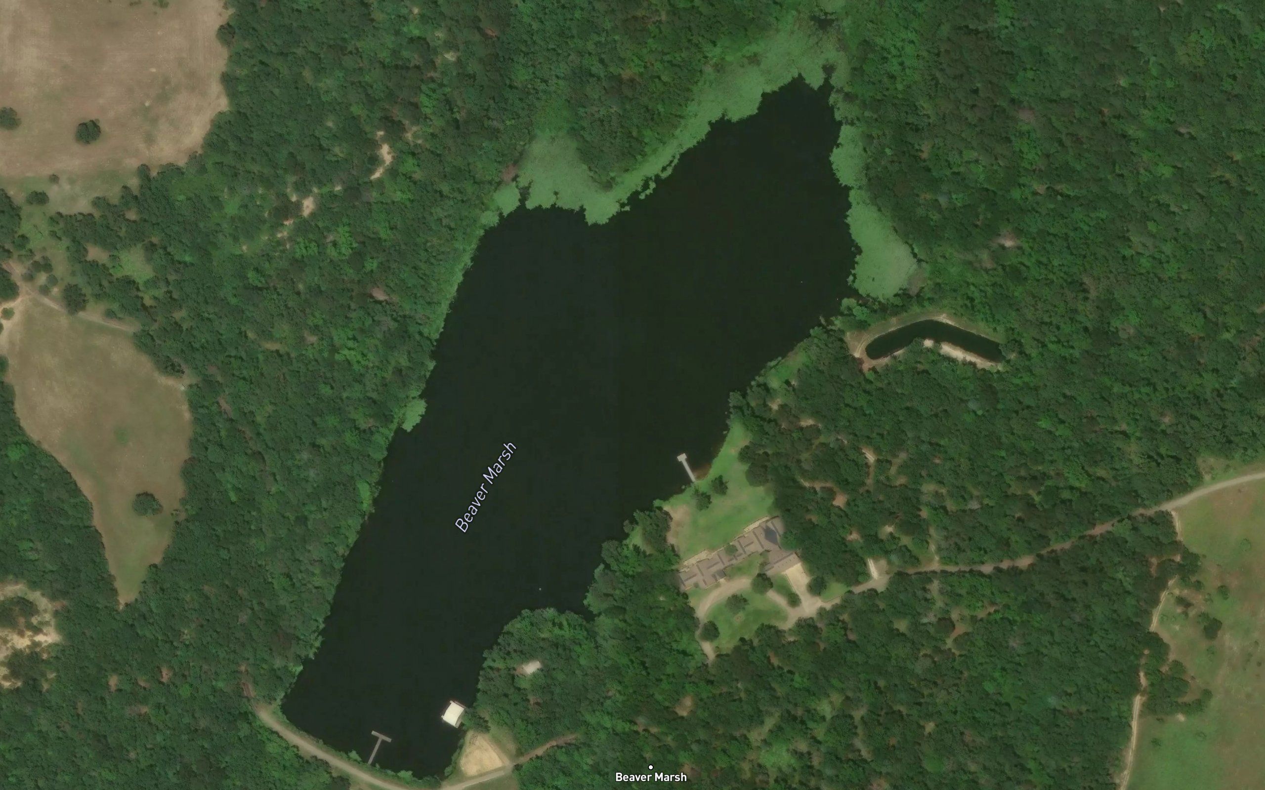 Beaver Marsh