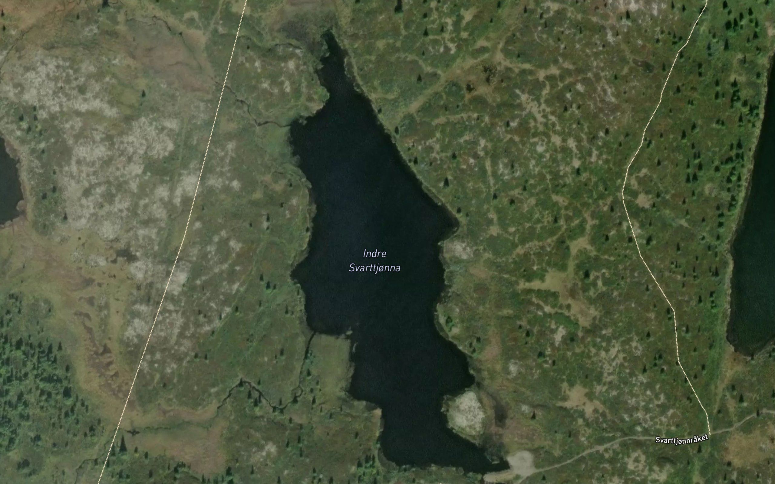 Svarttjornin,in