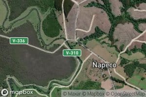 Estero Napeco