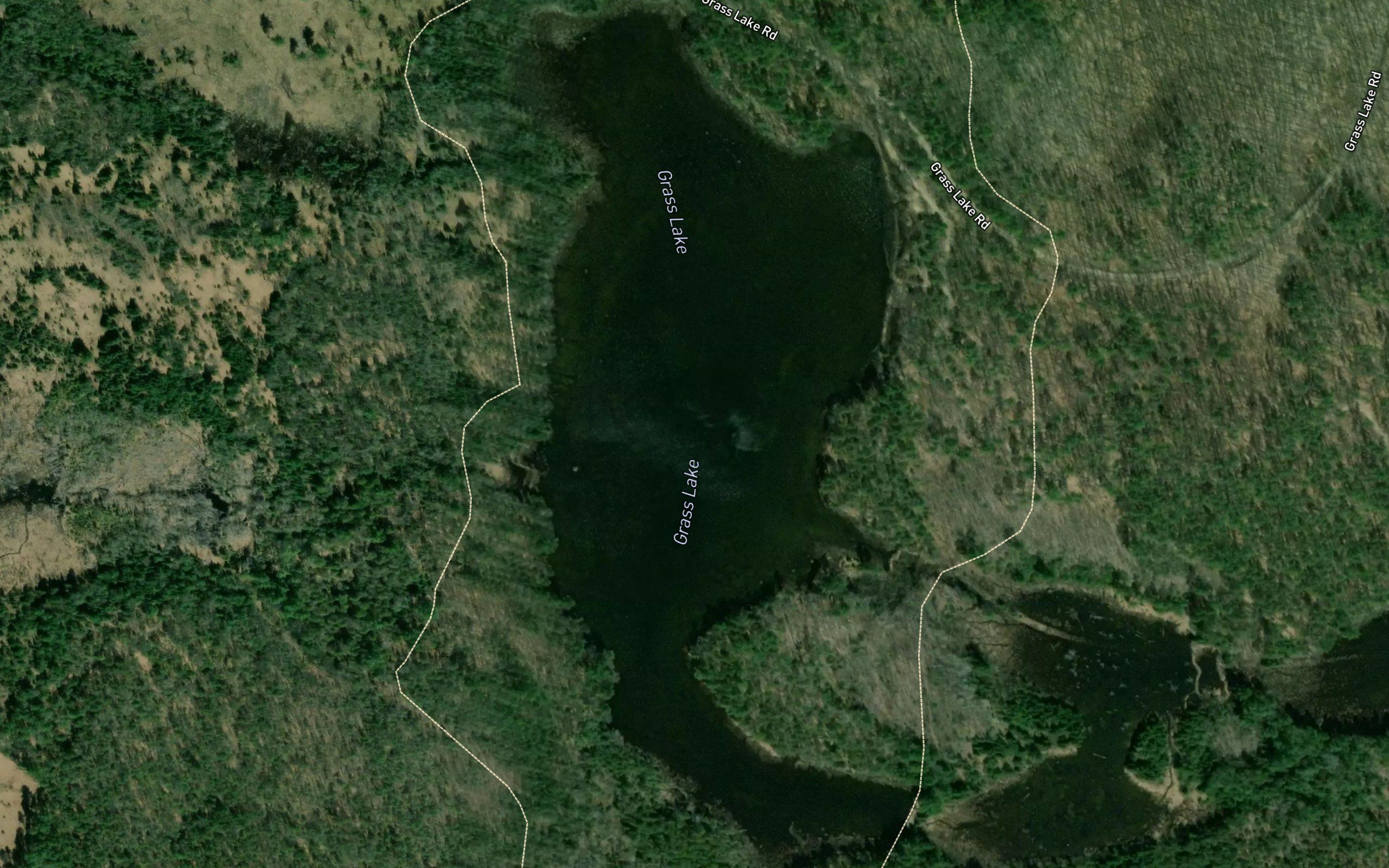 Grass Lake