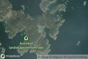 Sokken