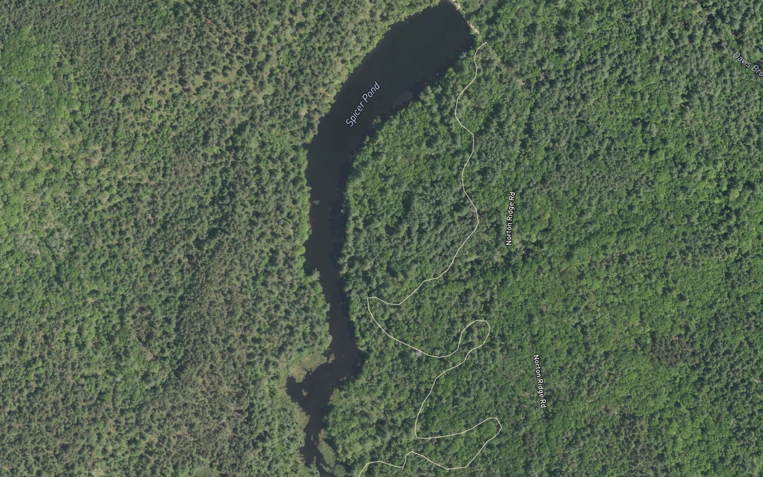 Spicer Pond
