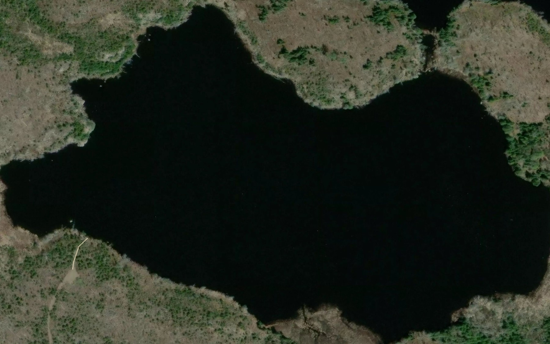 Satellite map of the Comfort Lake