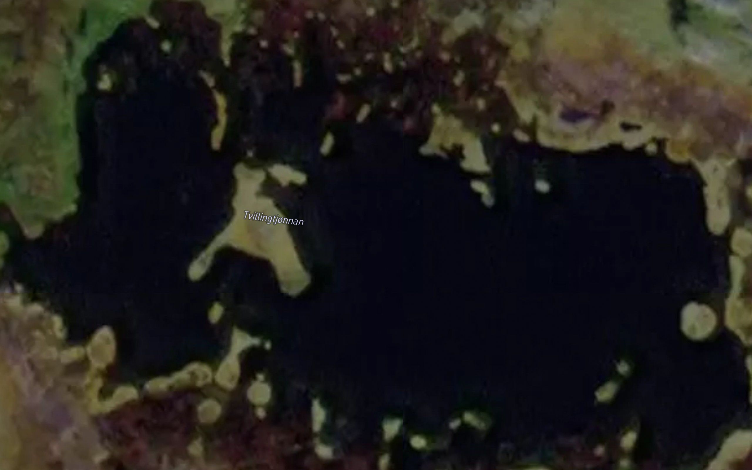 Tvillingtjornan