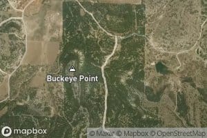 Nixon Creek