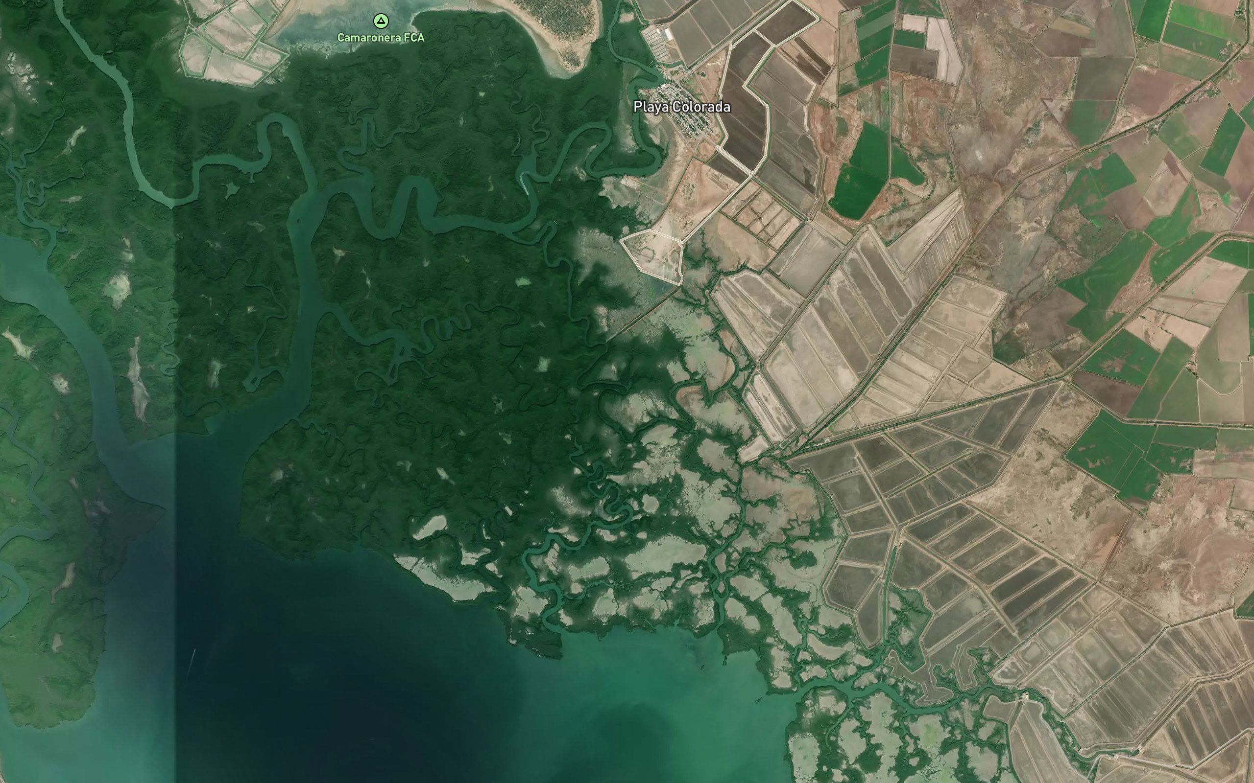Estero Batamotos