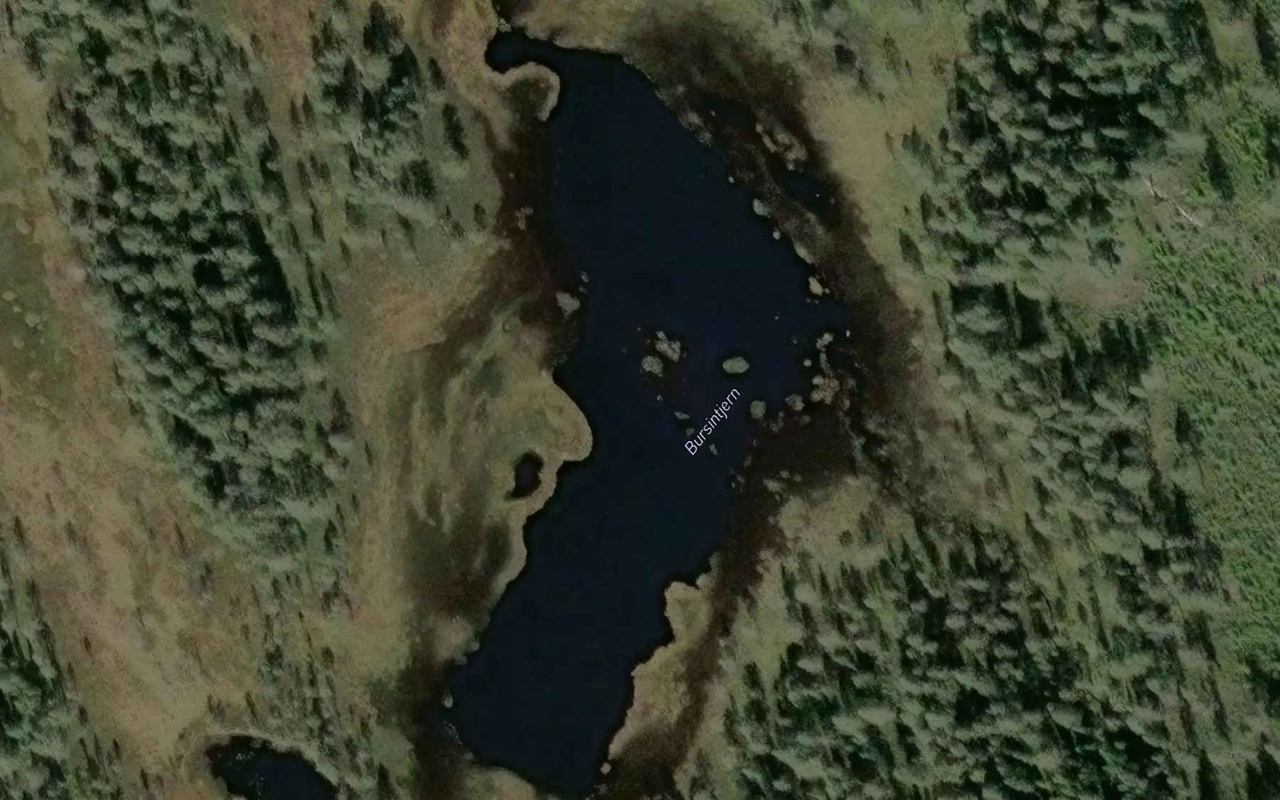 Satellite map of the Bursintjenn