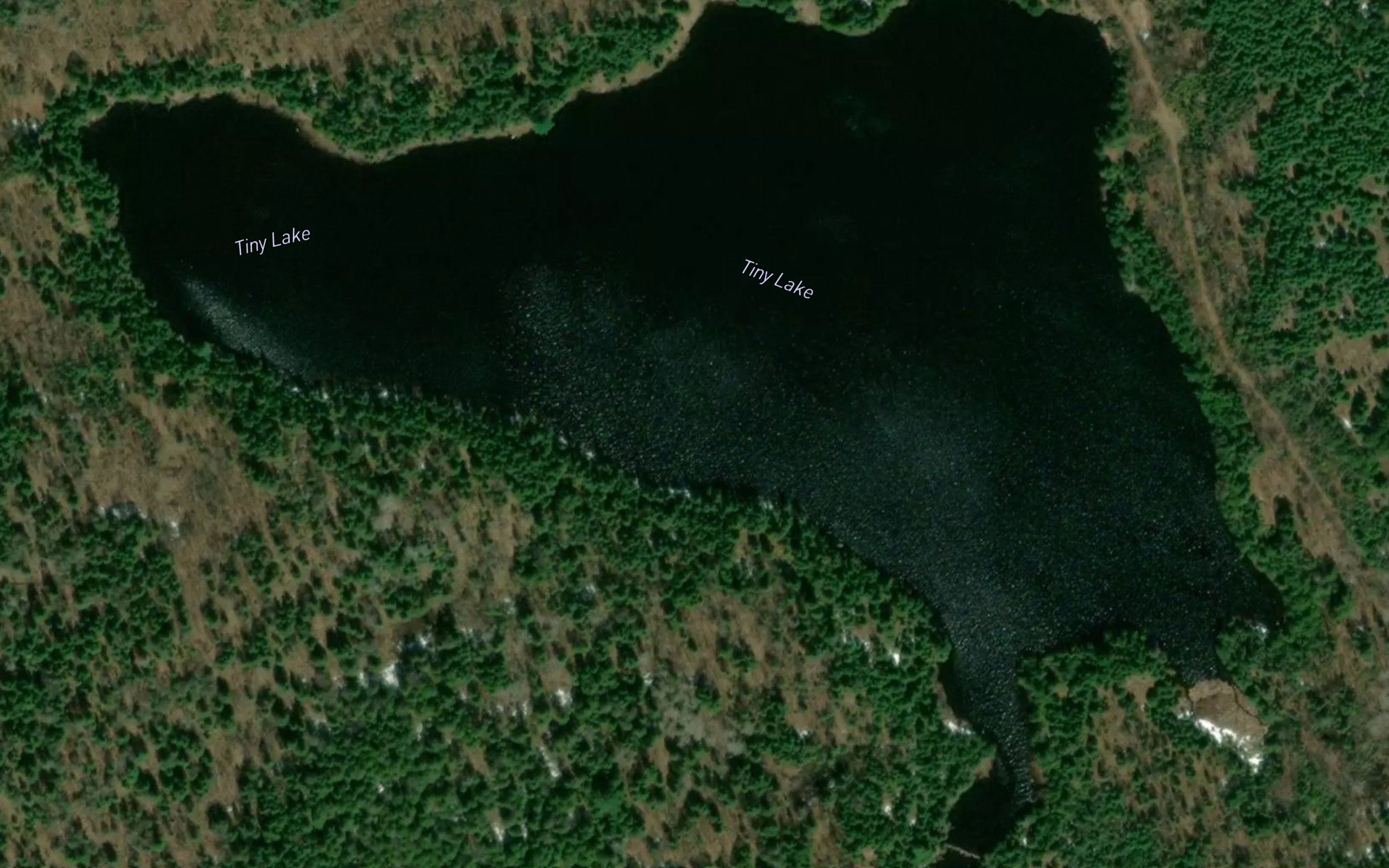 Tiny Lake