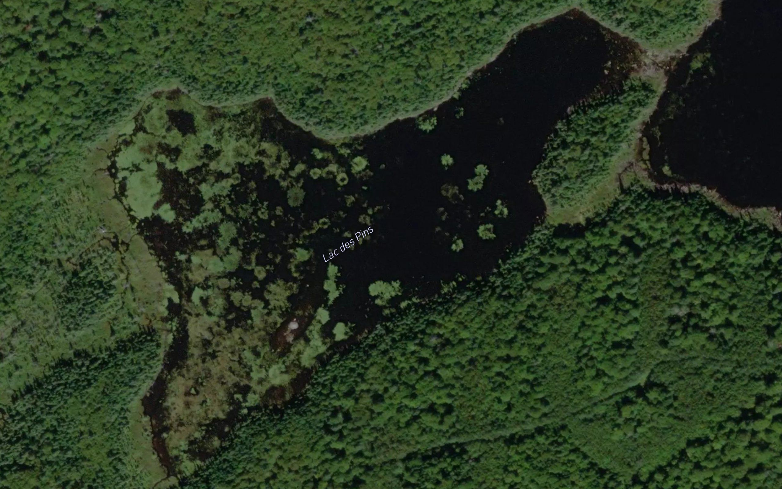 Lac des Pins