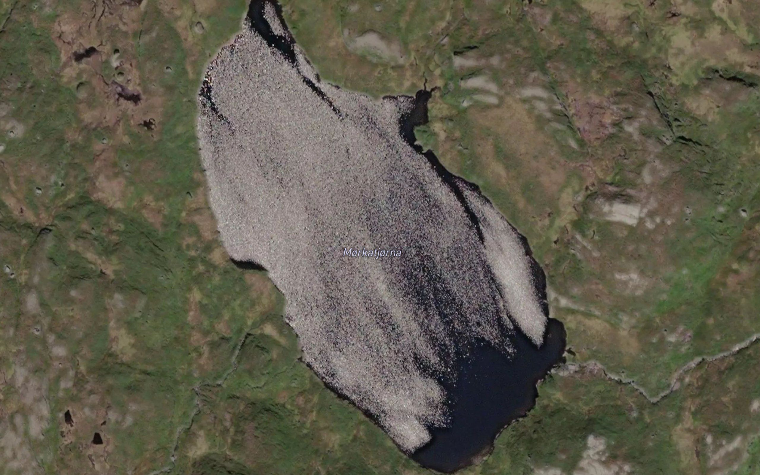Morkatjorna