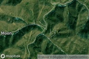 Trace Fork