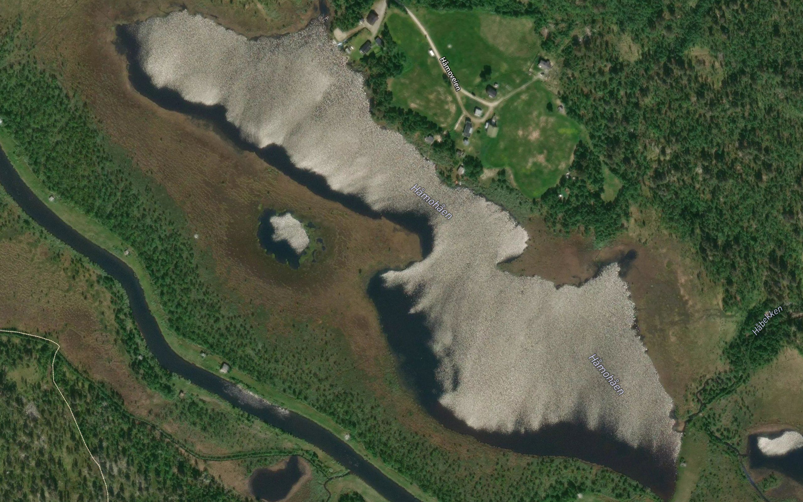 Habekkhaen