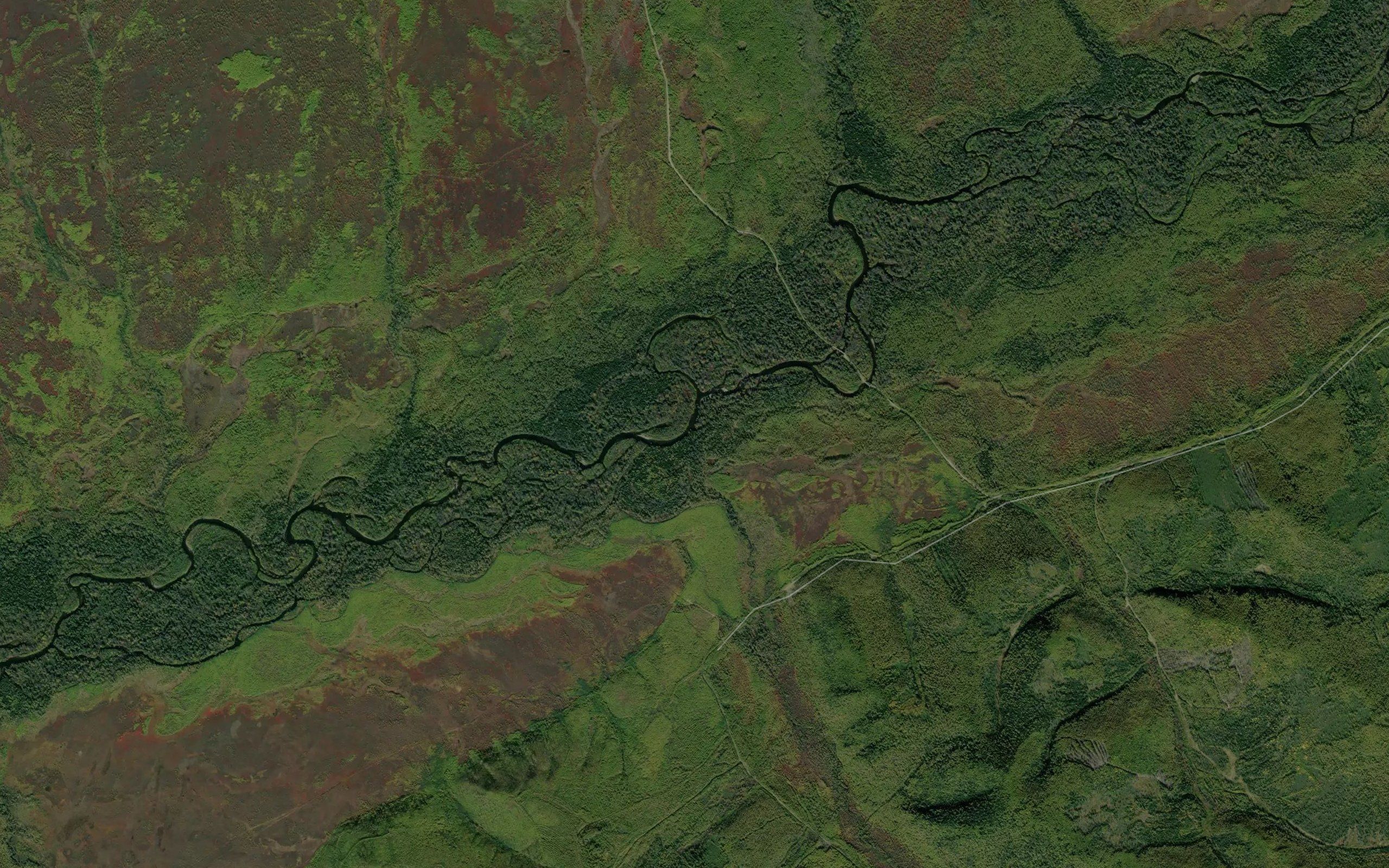 Stlanikovyy