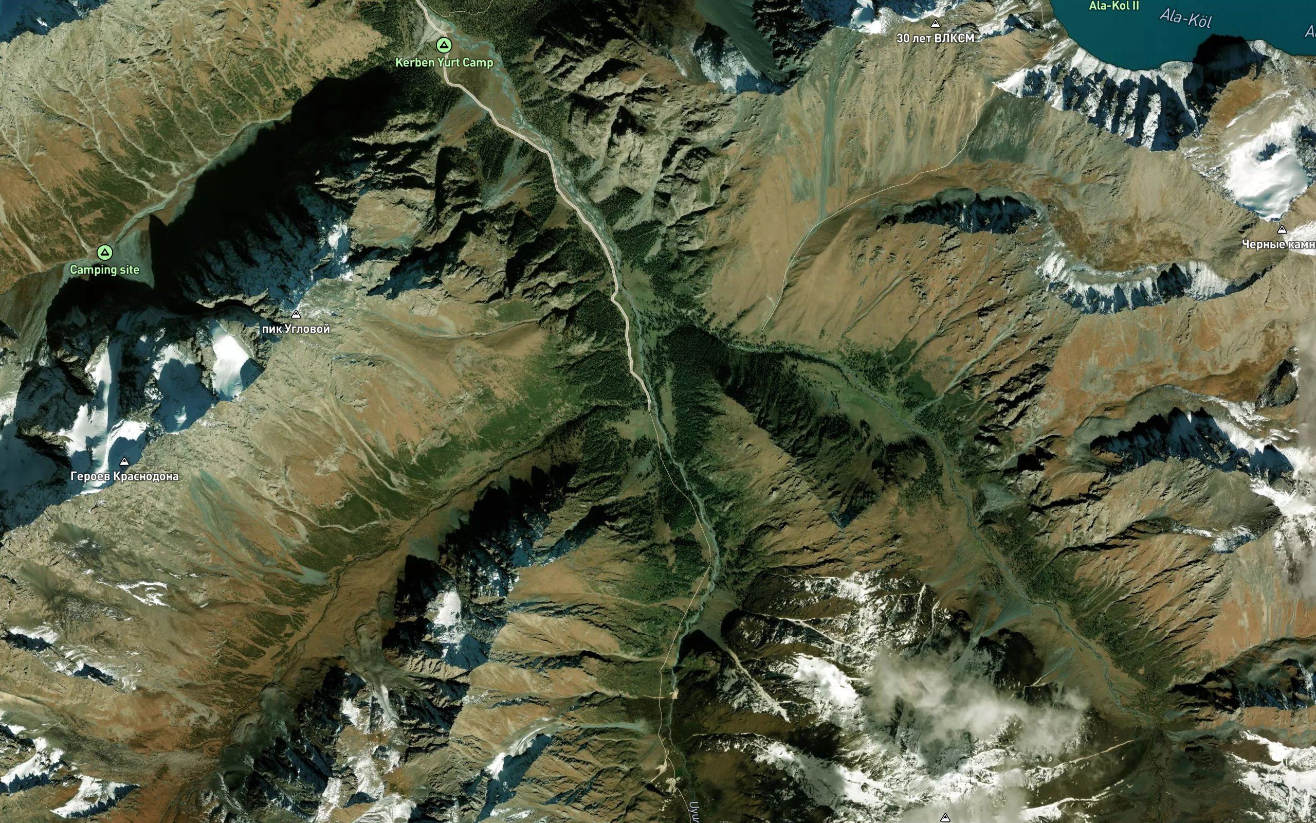 Uyuntor