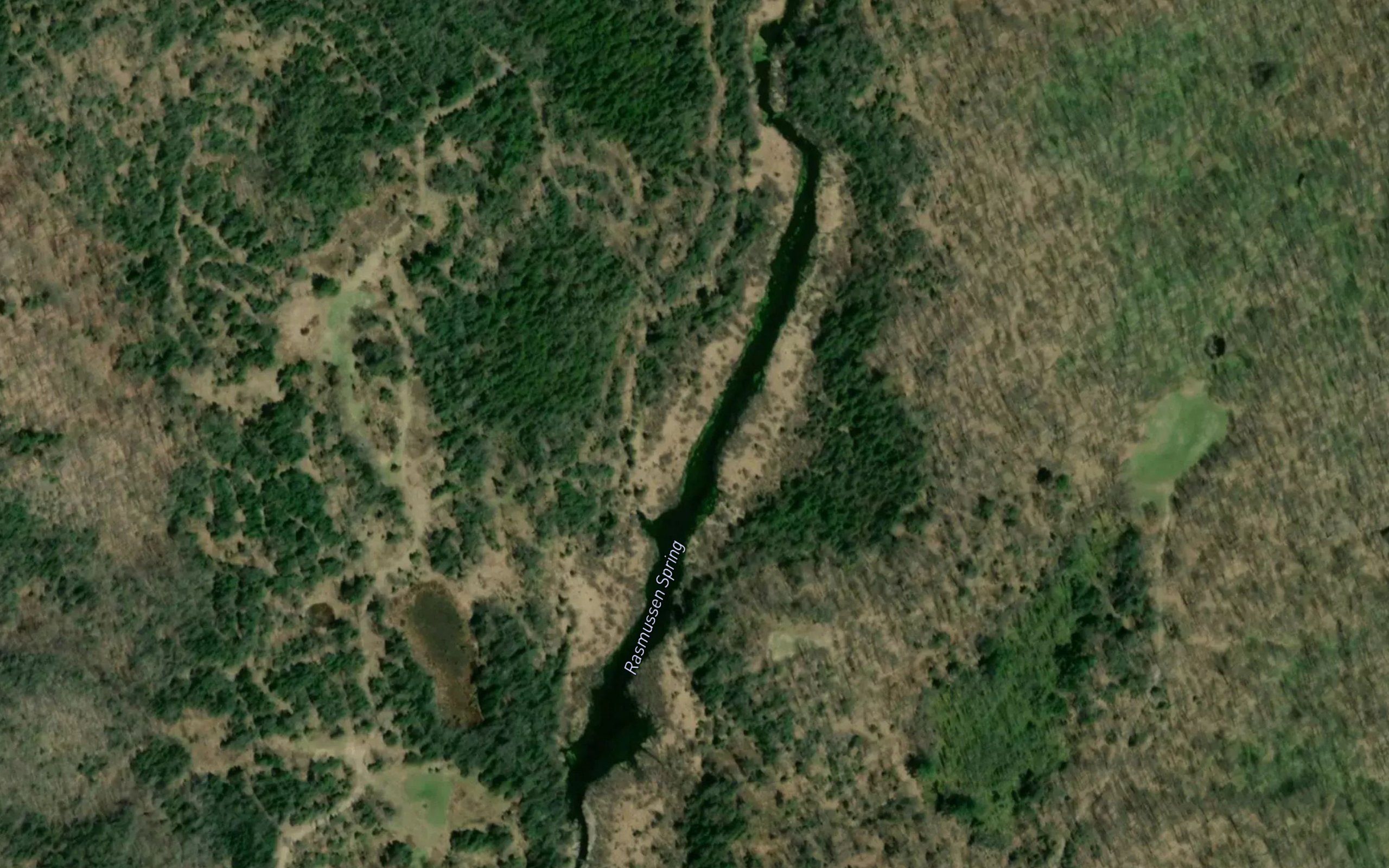 Rasmussen Spring