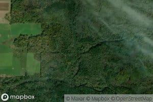 East Branch Wedges Creek