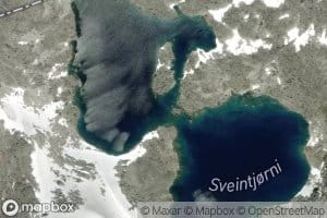 Sveintjorni