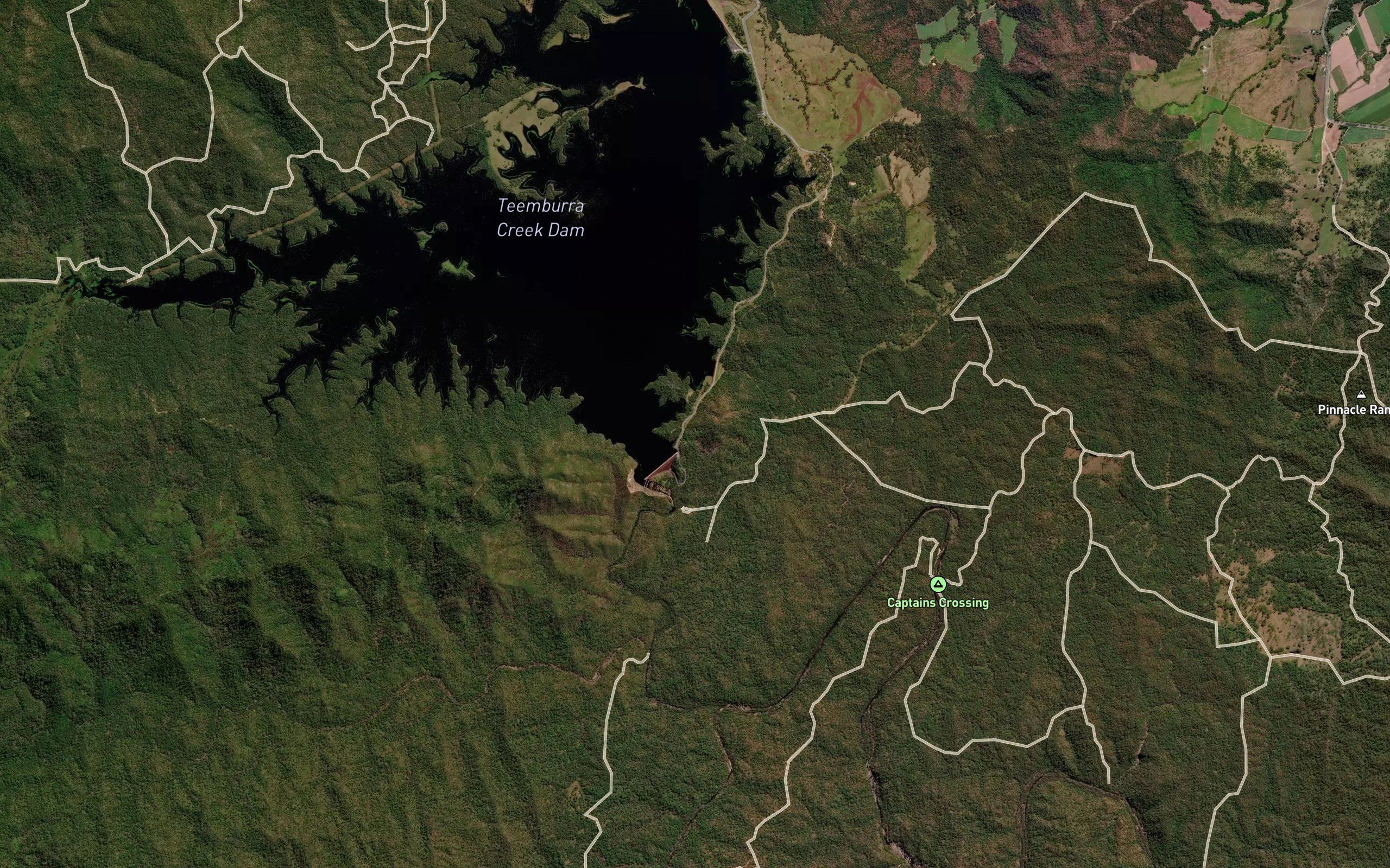 Cabbage Tree Gully