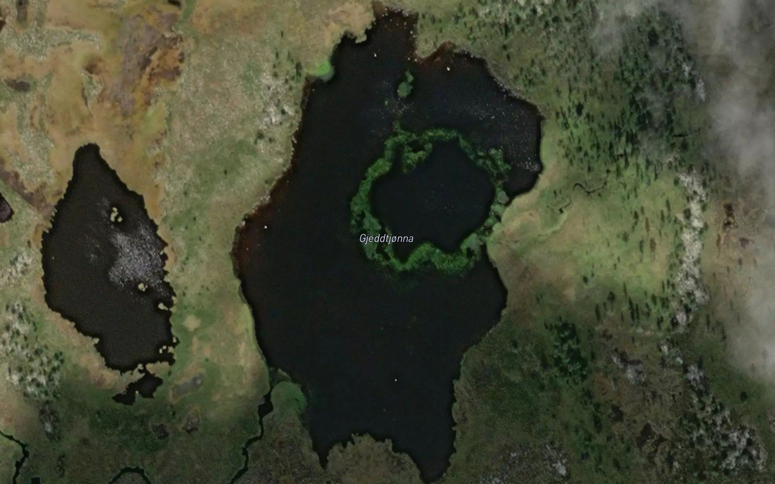 Gjeddtjorna