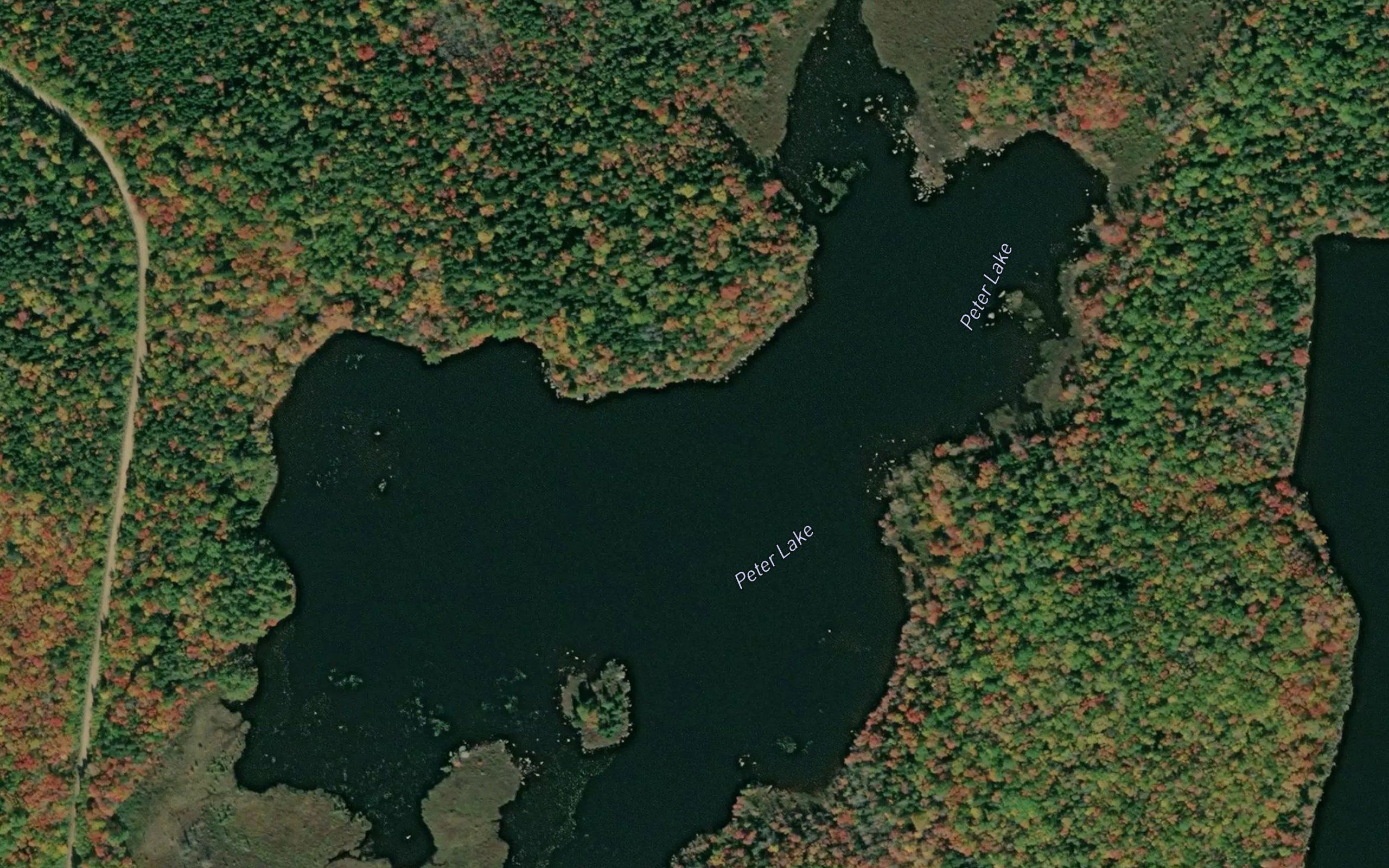 Peter Lake