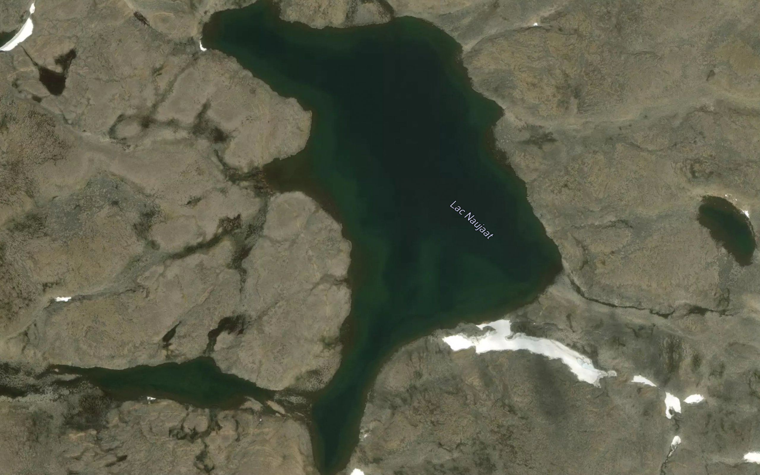 Lac Naujaat